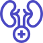 Urology Department