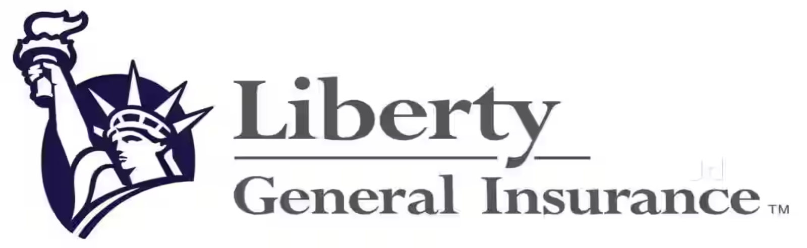 LIBERTY GENERAL INS